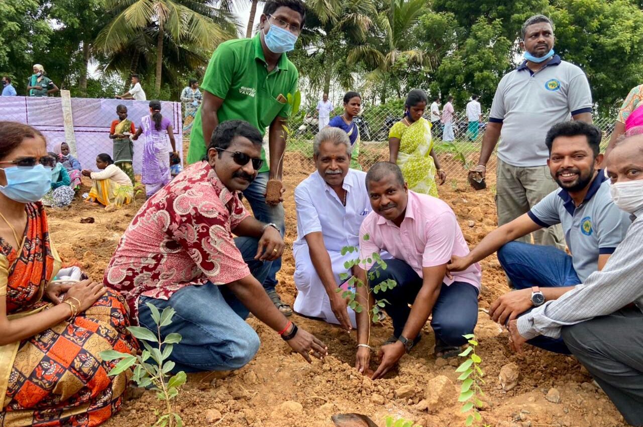 மன்னார்குடி மூவர்கோட்டை கிராமத்தில் 3160 மரக்கன்றுகள் கொண்ட மியாவாக்கி குறுங்காடு