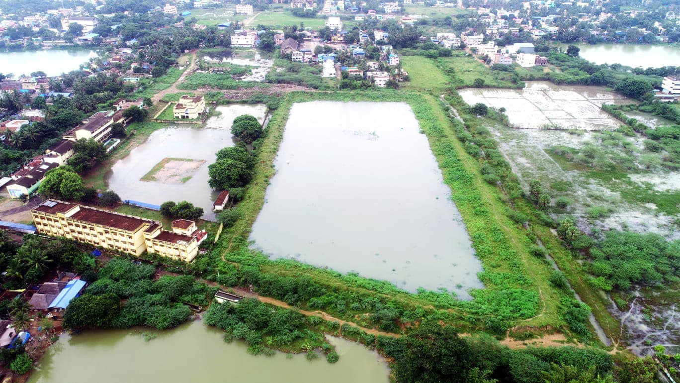 நம்மாழ்வார் ஏரி - மன்னார்குடி