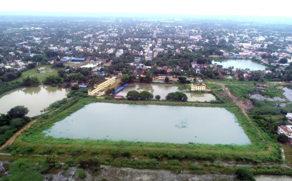 மன்னார்குடி நம்மாழ்வார் ஏரி